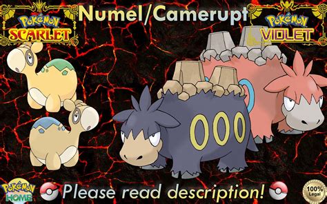 Pokemon Numel Evolution Chart