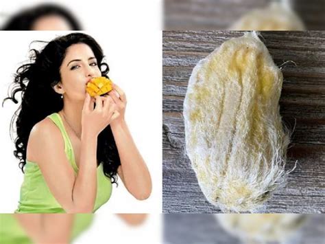 Mango Seed Benefits आंबे खाल्ल्यानंतर कोय फेकू नका जाणून घ्या भरपूर