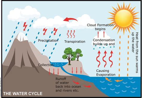 Weather Water Cycle