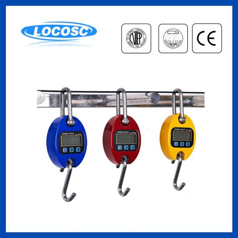 100kg 200kg 300kg 500kg Mini Weight Digital Hanging Crane Scale China