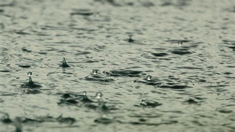 Kerala Weather Imd Orange Yellow Alerts Several Districts Heavy Rains