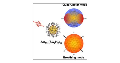 Coherent Vibrational Dynamics Of Au Sc H Nanoclusters The