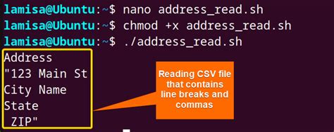 How To Read Csv Files In Bash Methods Linuxsimply