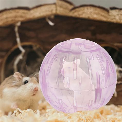 Dwarf Hamster Ball