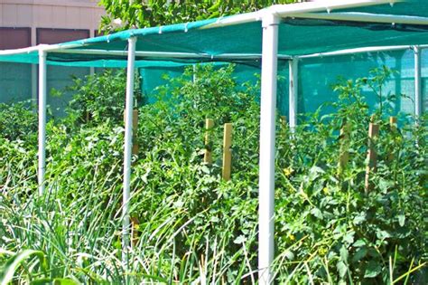 Shadecloth Frame Vegetable Gardening Forum Gardenweb Shade