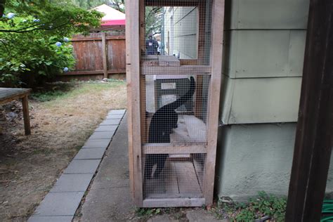 Outdoor Cat Enclosure Kits Cat Enclosure