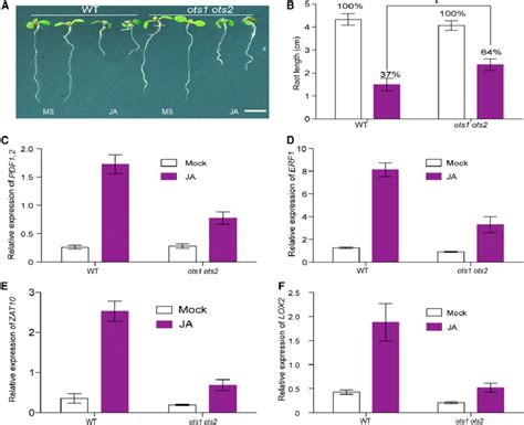 Ots Sumo Proteases Regulate Ja Mediated Growth Responses Download