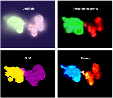 How To Realize Raman Imagingphotoluminescence Pl Imagingphosphorescence Lifetime Plim