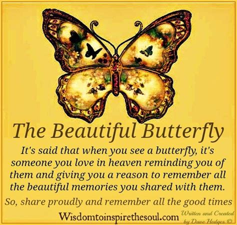 butterfly love quotes for her - Laci Zook