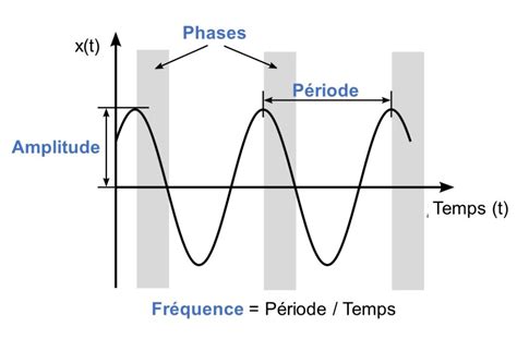 12 Les rythmes biologiques Écophysiologie évolutive