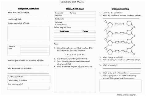 DNA RNA And Protein Synthesis LC Biology Lesson Plans