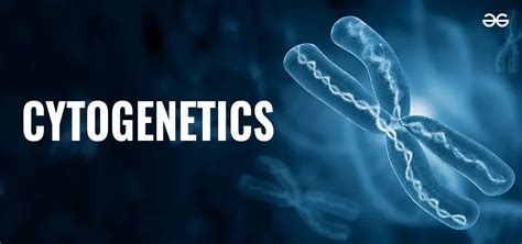 What Is Cytogene Tics Meaning Applications And Notes Geeksforgeeks