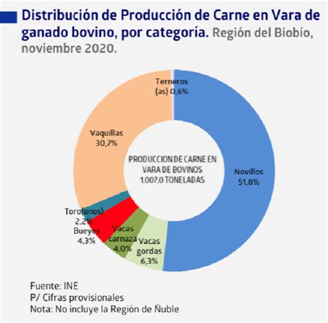 Producci N De Carne En Vara Bovina De La Regi N Del Biob O Disminuy