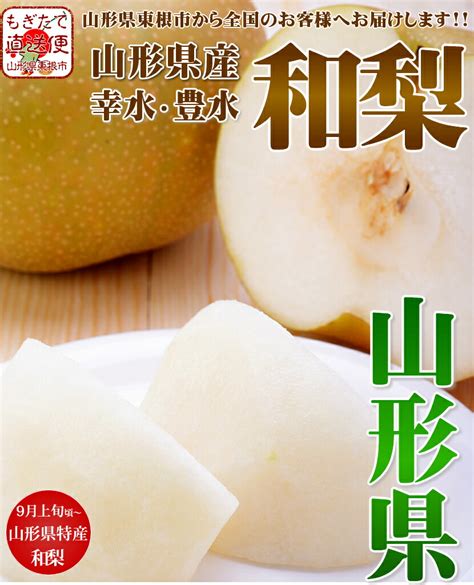 【楽天市場】【予約】山形県産 和梨 かおり梨 秀品 秋の味覚 日本梨 青梨 かおり かおり梨 香梨 2kg 3kg ギフト 贈り物 贈答