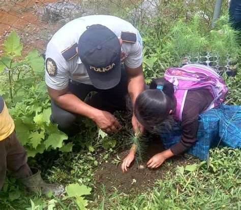 Pnc De Guatemala On Twitter Reforestaci N En Alta Verapaz Polic As De