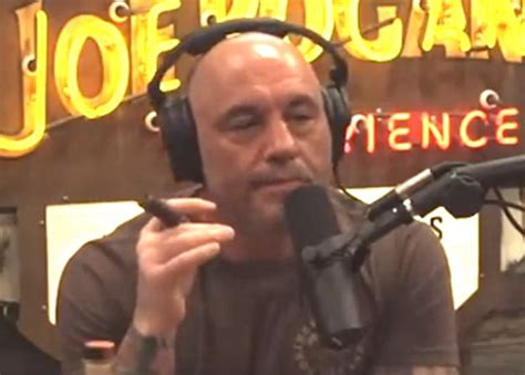 Joe Rogan Slams Jimmy Kimmel For Being In ‘leftist Bubble Of Hollywood