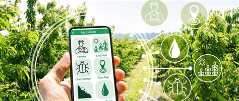 Smart Agriculture e IoT per un futuro più sostenibile