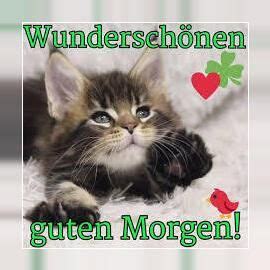 Pin Von Lydia Auf Guten Morgen Gruss Guten Morgen Witzig Guten