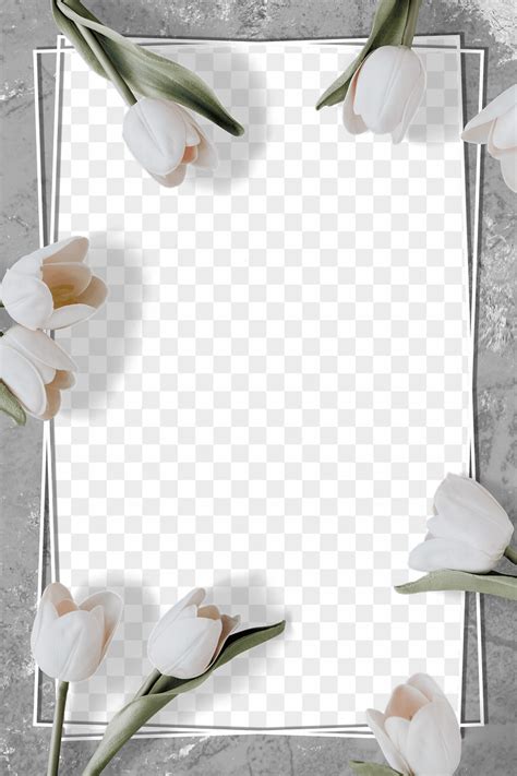 White Tulip Frame Design Element Premium Png Rawpixel