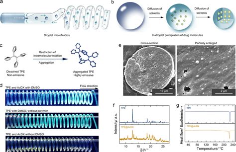 Preparation Of Nano In Micro Structured Microspheres A The Preparation