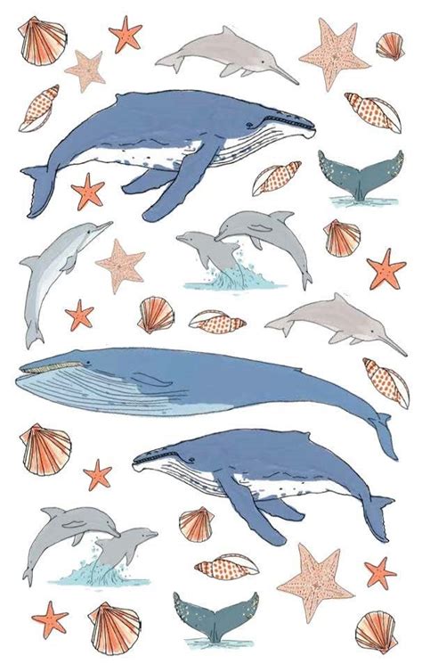 Ocean Anatomy Sticker Book | Sticker book, Art design, Anatomy