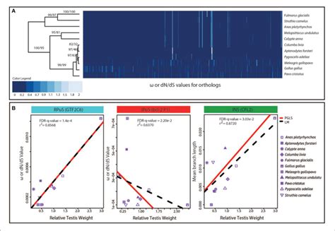 The Contribution Of Continuous Or Cyclic Evolution Model To The Download Scientific Diagram