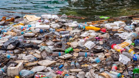 Los Microplásticos Afectan A La Salud Humana Y Al Medio Ambiente Rpp