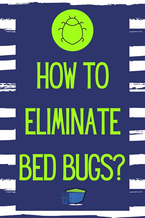 How to Eliminate Bed Bugs - Junk Container Service Group | Bed bugs ...