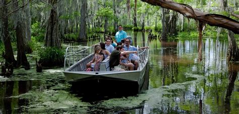 Swamp Tours Archives - Cajun Encounters Tour Company, New Orleans