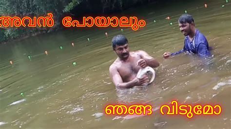 വലയിട്ട് ഒരു കിടുകാച്ചി മീൻ പിടുത്തം Youtube