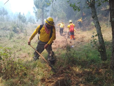 Avanza Control De Incendios En Altas Montañas Van 1670 Hectáreas Dañadas