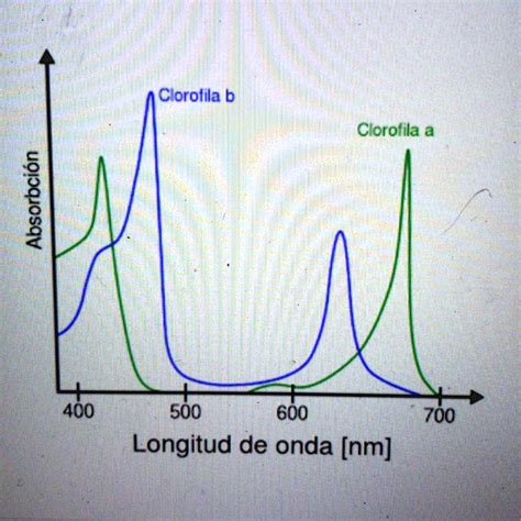 SOLVED 3 Según el espectro electromagnético cuál será la longitud de