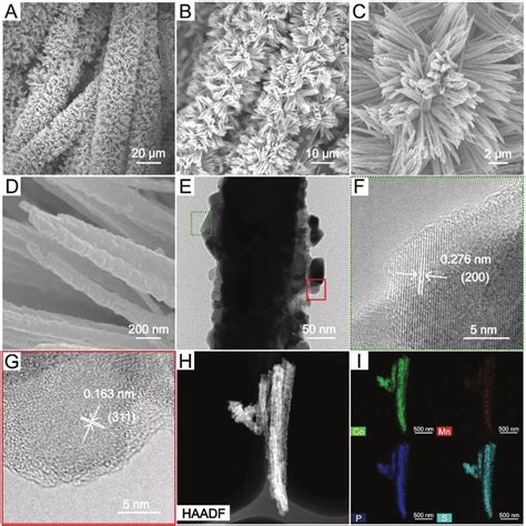 A D Low Magnification A B And High Magnification C D Fe Sem Images