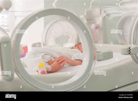 Newborn Baby In Hospital Stock Photo Alamy