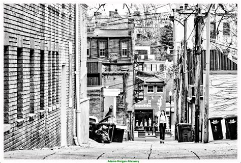Alley in Adams-Morgan : r/washingtondc