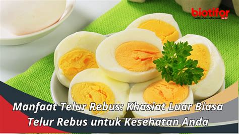 Manfaat Telur Rebus Khasiat Luar Biasa Telur Rebus Untuk Kesehatan Anda