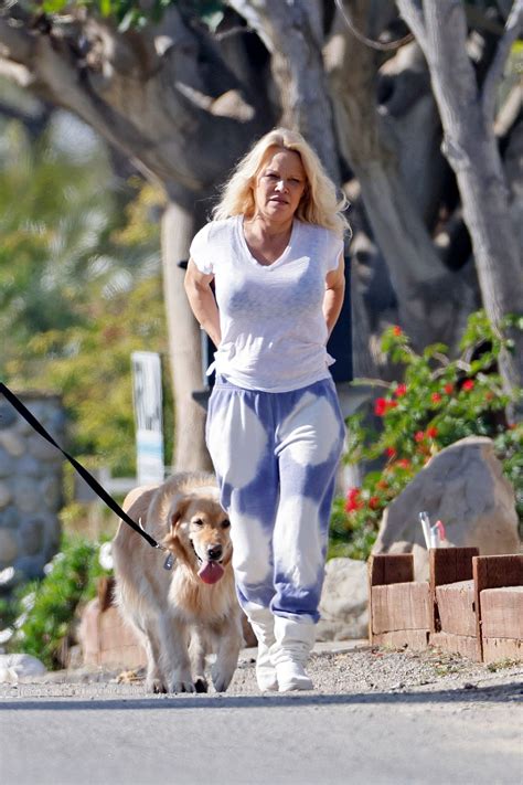 PAMELA ANDERSON and Dan Hayhurst Out in Malibu 01/14/2022 – HawtCelebs