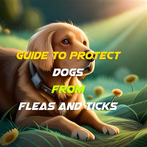 How To Protect Your Dog From Fleas And Ticks Ultimate Guide What