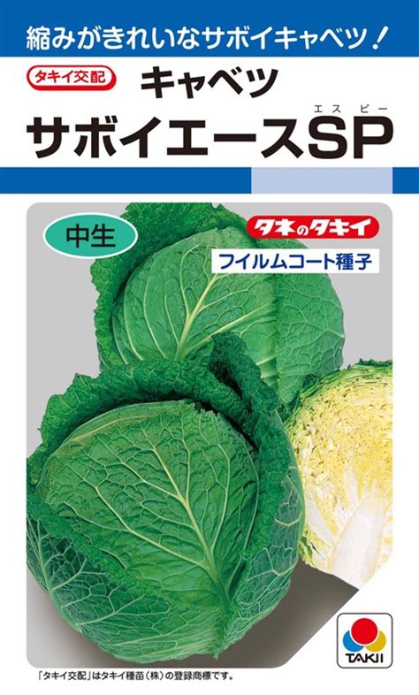 タキイ種苗 キャベツ種子 サボイエースsp Aca00w 【取り寄せ注文】＊種子有効期限2025年4月末 葉菜類キャベツ 小林