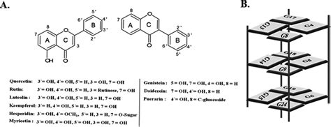 A Structure Of Flavonoids Flavones Flavonols Flavanones Left