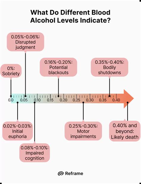 Blood Alcohol Level Fatal Levels And Staying Safe