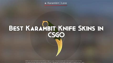 Best Karambit Knife Skins in CSGO - Playing History