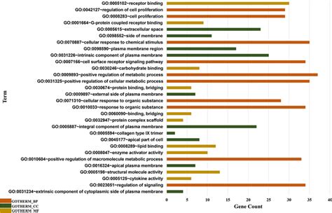 Top 10 Gene Ontology GO Terms For Categories Of Biological Process