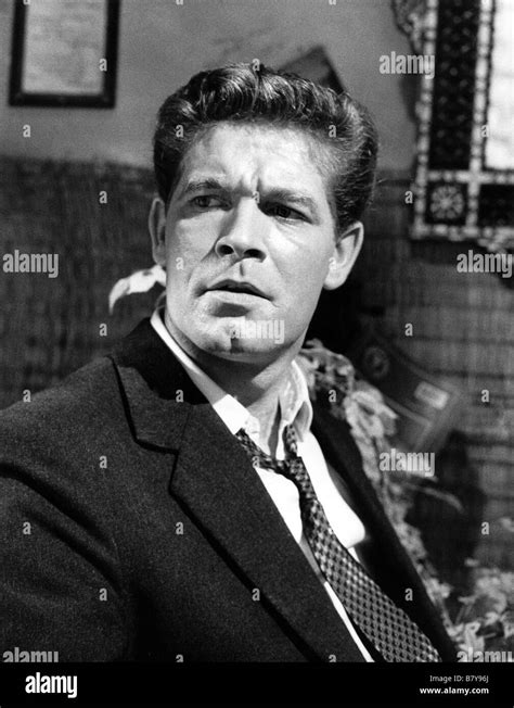 Stephen Boyd Stephen Boyd Stephen Boyd Stock Photo Alamy