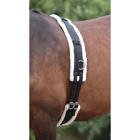 Horse Lunging Equipment & Accessories | The Farm House