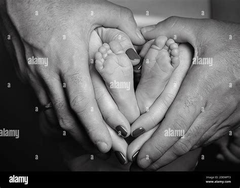 Black And White Image Of Newborn Baby Father And Mother Hold Baby S