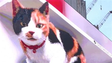 Giant 3d Digital Cat Towers Over Tokyo On Billboard Science Climate