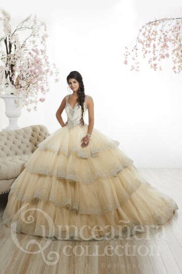 House Of Wu 26908 Floral Embroidered Quinceanera Dress