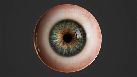 Artstation Realistic Human Eye Low Poly 3d Model Game Assets