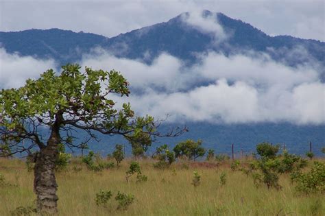 The 10 Most Beautiful Spots In Guyana South America